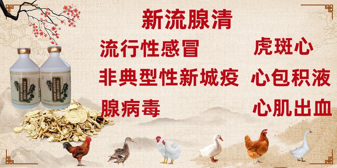 新流腺清.jpg